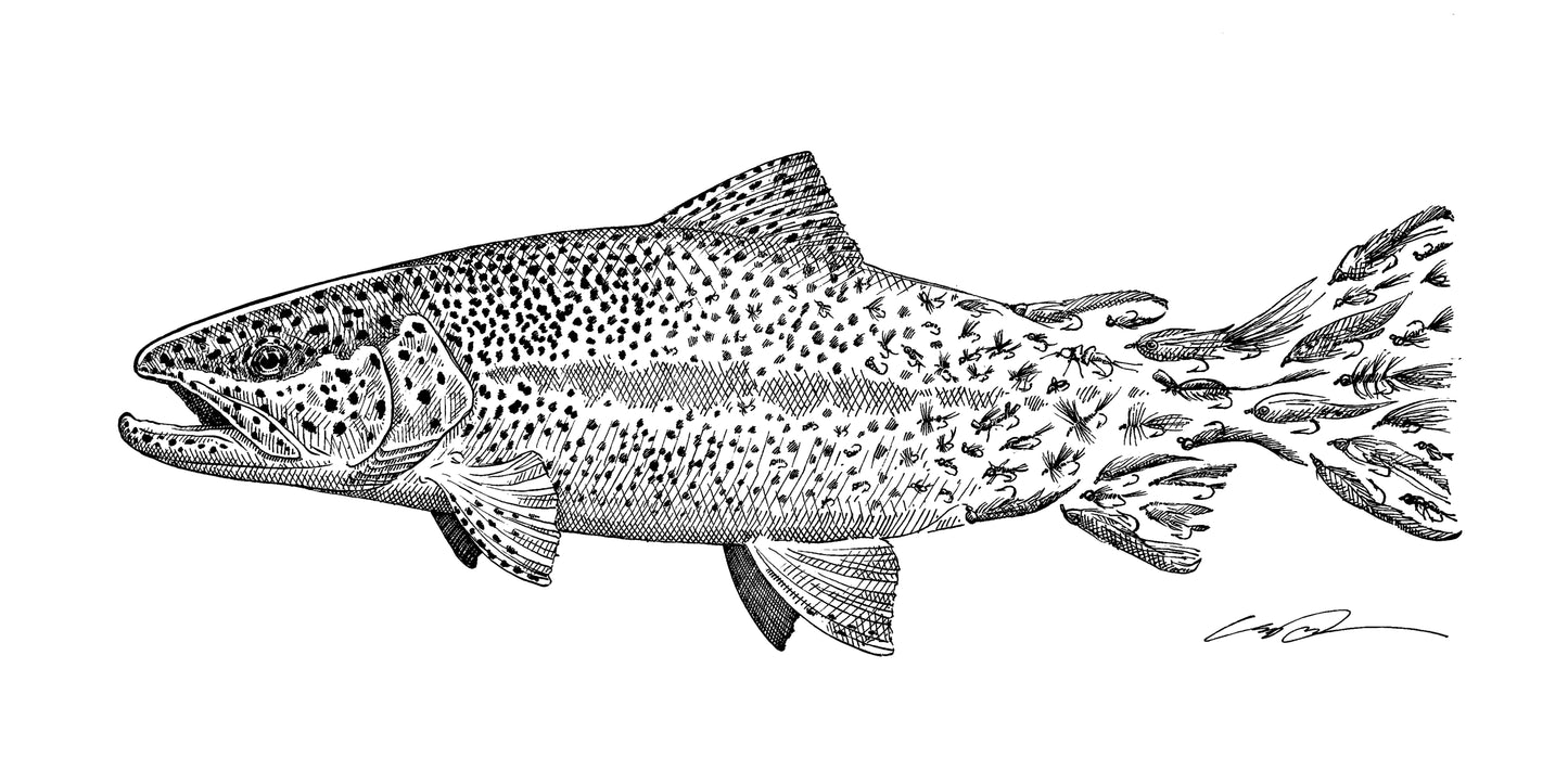 A pen and ink drawing of a Rainbow trout. The spots of the trout fade to flies towards the tail of the fish.