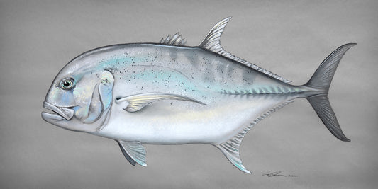 Giant Trevally Fine Art Print