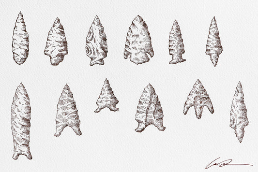 A drawing of stone arrowheads that are in two rows of six each