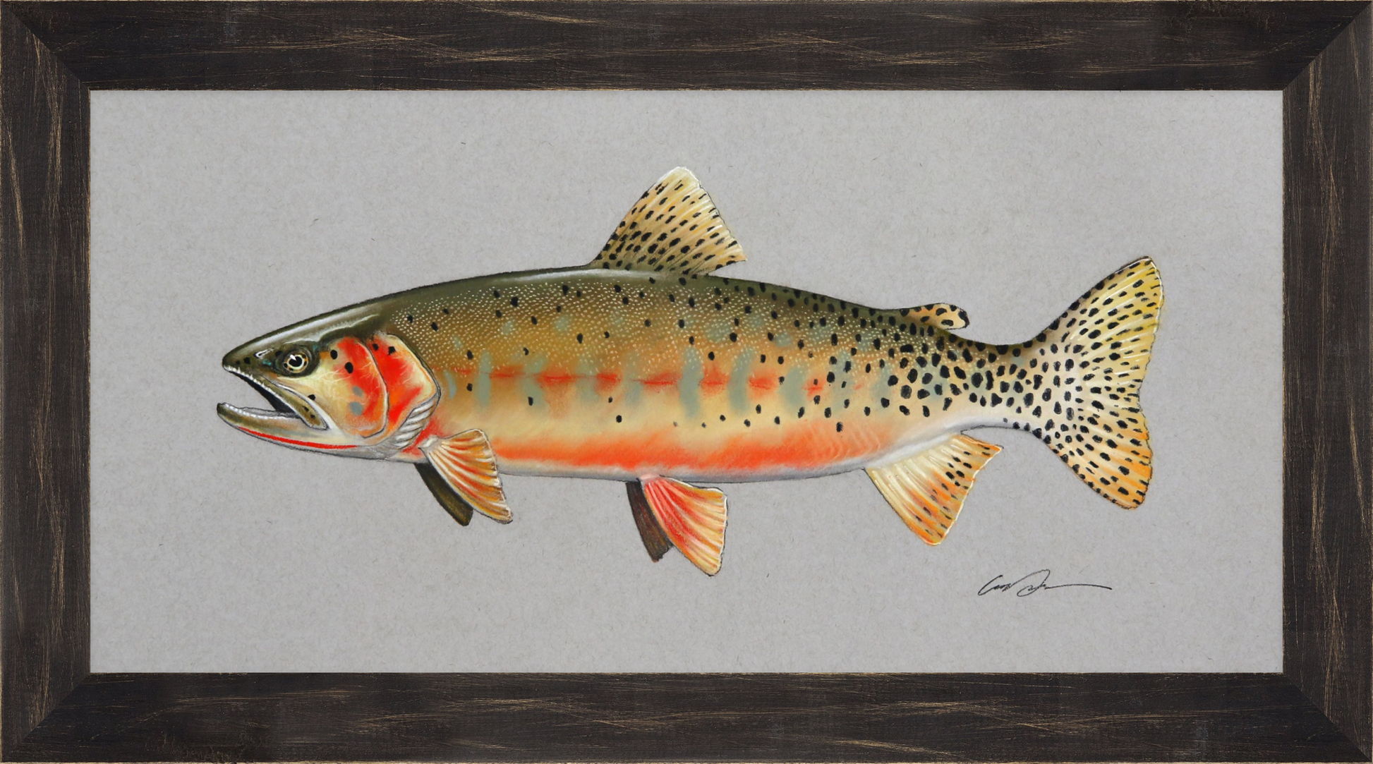 A pastel drawing of a greenback cutthroat trout on toned gray paper, frame in black rustic frame
